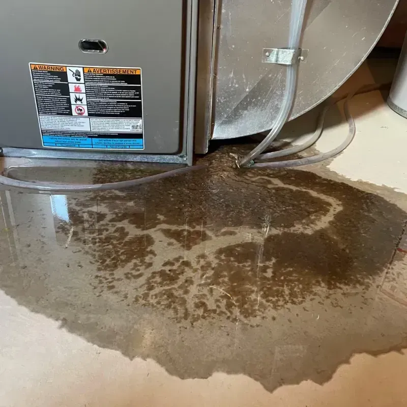 Appliance Leak Cleanup in Camden, AL